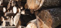 Verarbeitung von Ihrem Holz